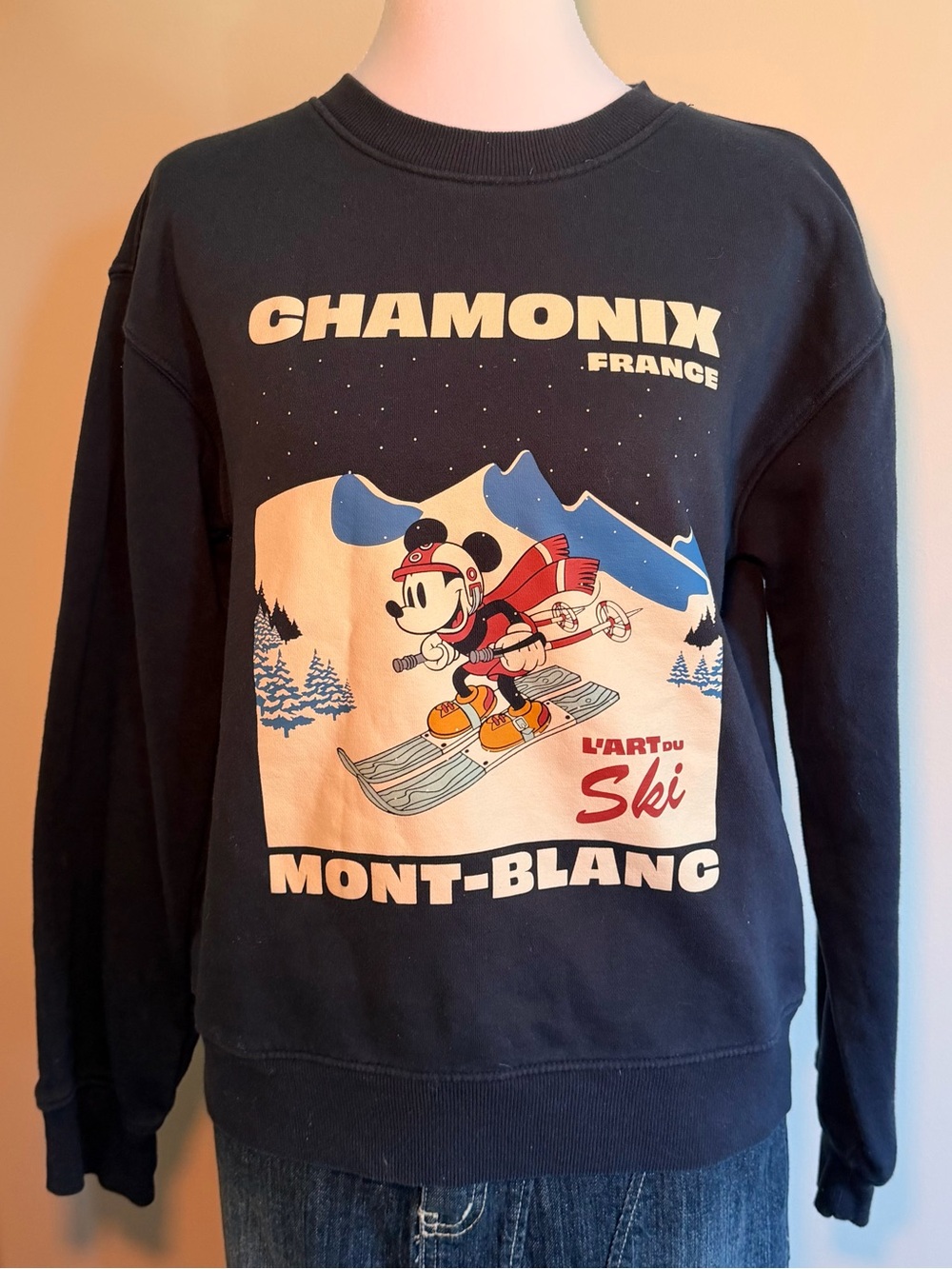 H&M Navy Graphic Ski Crewneck Sweatshirt